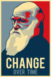 darwin-2-sm