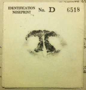 Print number 6517 and 6518 are smeared and does not define clarity.